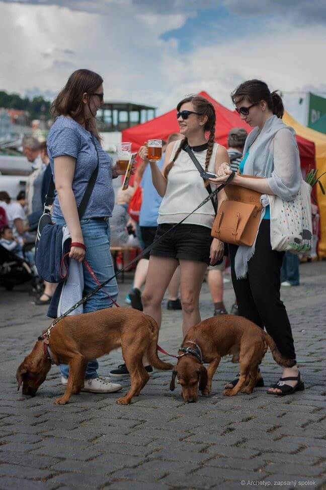 PIVO NA NÁPLAVCE 2016